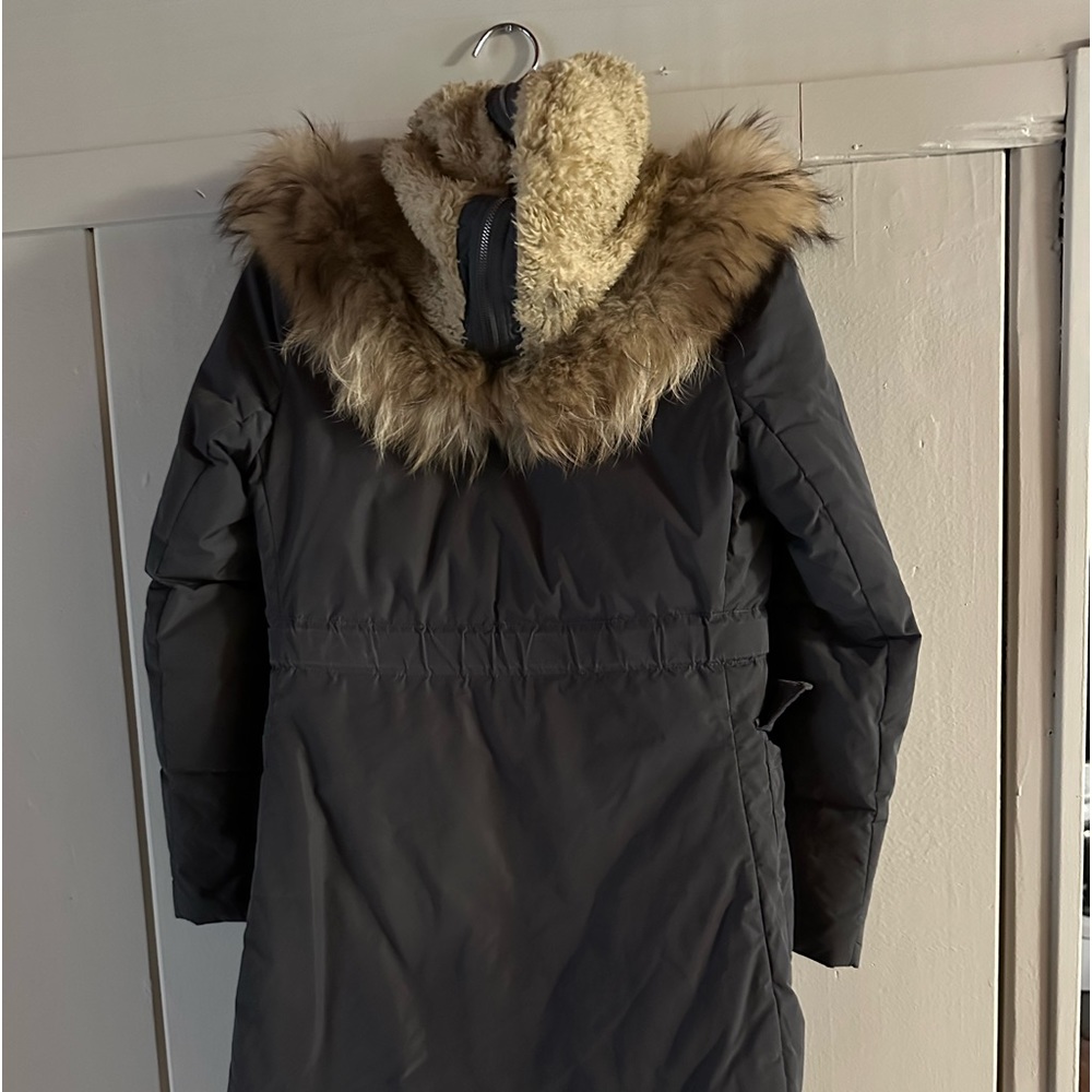 Women Theory jacket with hooded fur zipped, need length thermo, lightly used